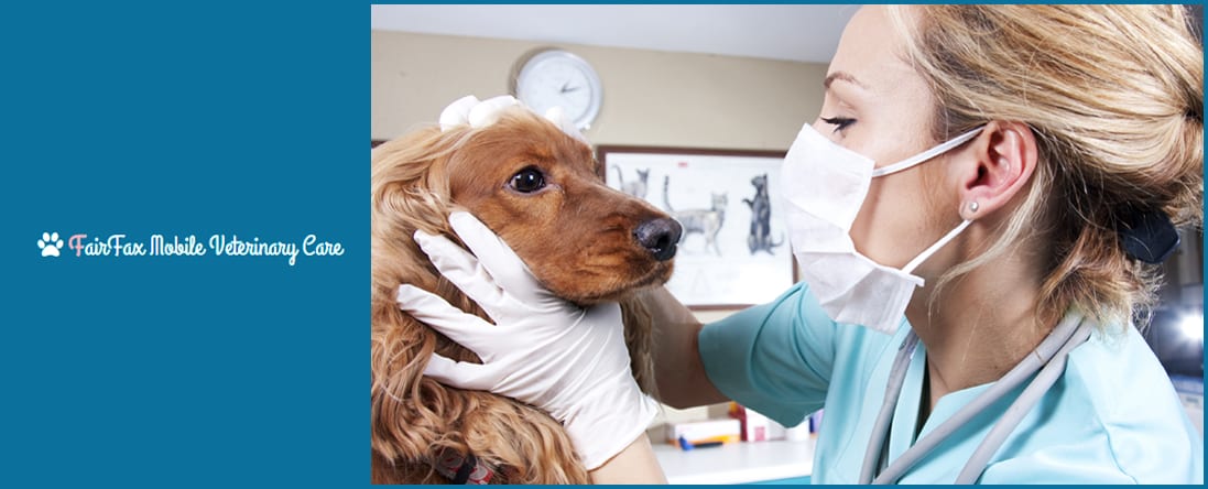Neutering
